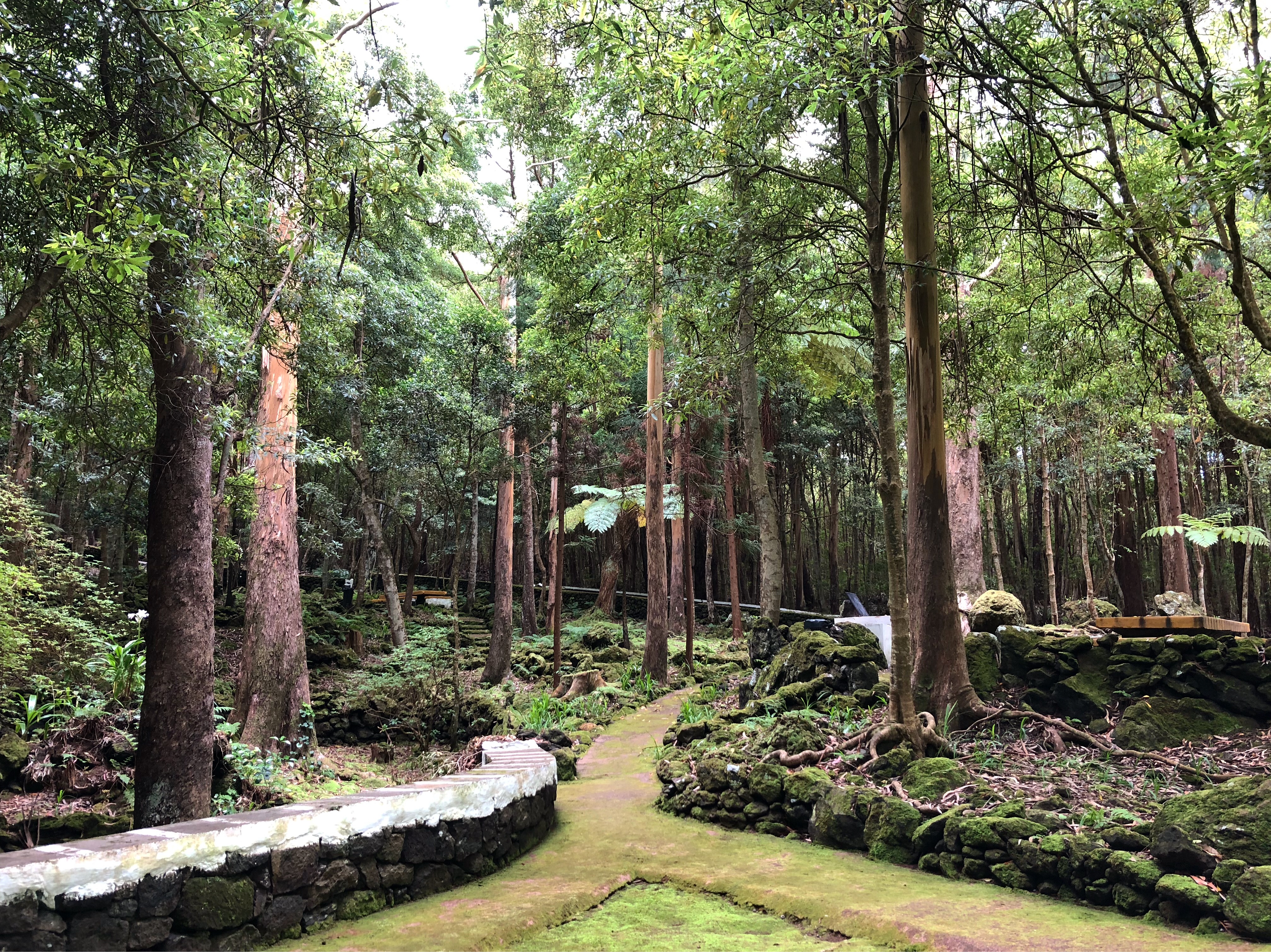 A03E5240-B356-4A9C-AA65-AF9773B8CD9B